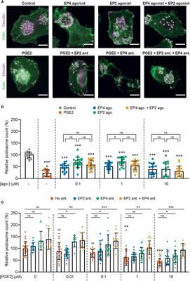 Frontiers Characterization of the Signaling Modalities of